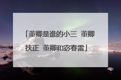 董卿是谁的小三 董卿扶正 董卿和宓春雷