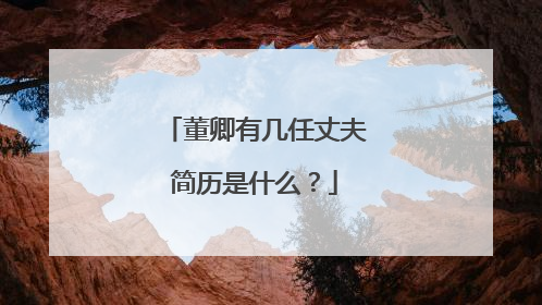 董卿有几任丈夫简历是什么？