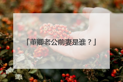 董卿老公前妻是谁？