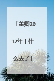 董卿2012年干什么去了