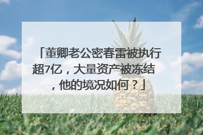 董卿老公密春雷被执行超7亿,大量资产被冻结,他的境况如何?