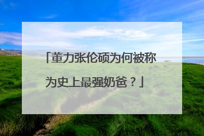 董力张伦硕为何被称为史上最强奶爸?