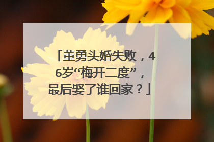 董勇头婚失败,46岁“梅开二度”,最后娶了谁回家?