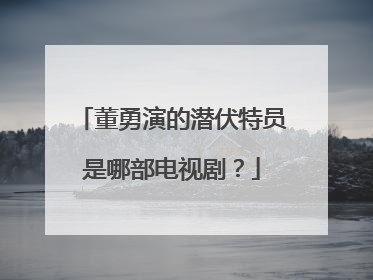 董勇演的潜伏特员是哪部电视剧？