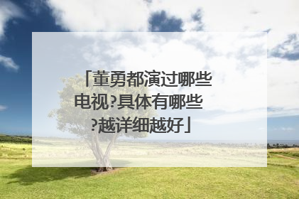 董勇都演过哪些电视?具体有哪些?越详细越好