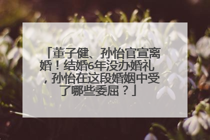 董子健、孙怡官宣离婚!结婚6年没办婚礼,孙怡在这段婚姻中受了哪些委屈?
