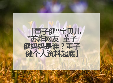 董子健“宝贝儿”苏炸网友 董子健妈妈是谁？董子健个人资料起底