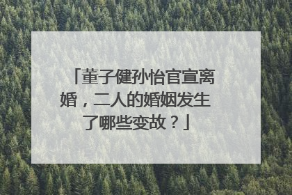 董子健孙怡官宣离婚,二人的婚姻发生了哪些变故?