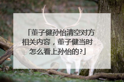 董子健孙怡清空对方相关内容,董子健当时怎么看上孙怡的?