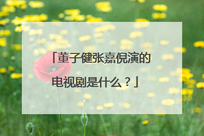 董子健张嘉倪演的电视剧是什么?