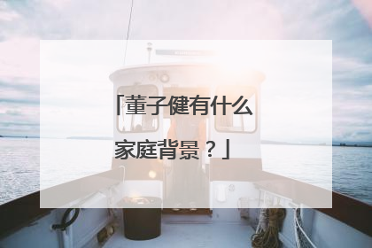 董子健有什么家庭背景?