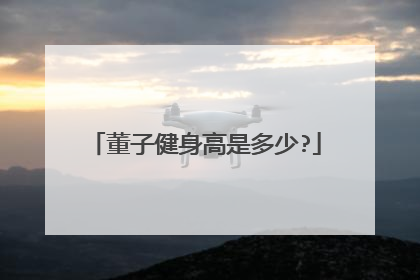 董子健身高是多少?