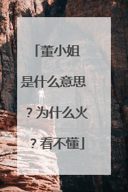 董小姐 是什么意思?为什么火?看不懂
