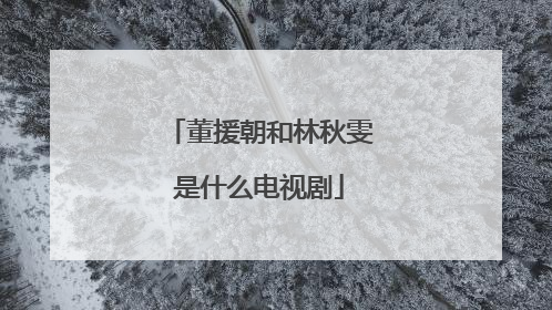 董援朝和林秋雯是什么电视剧