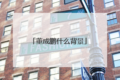 董成鹏什么背景