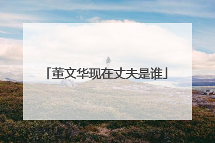 董文华现在丈夫是谁