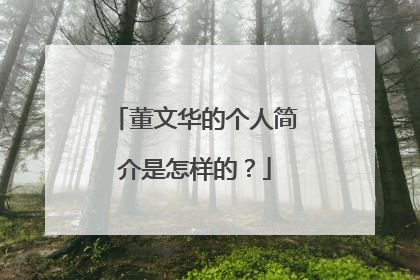 董文华的个人简介是怎样的?