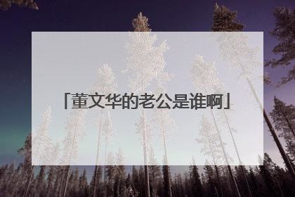 董文华的老公是谁啊