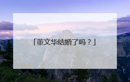 董文华结婚了吗？