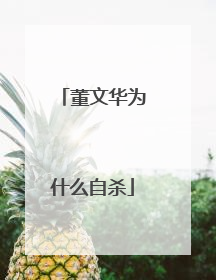 董文华为什么自杀