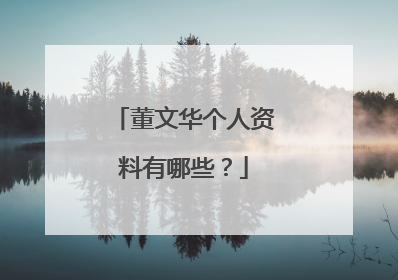 董文华个人资料有哪些？