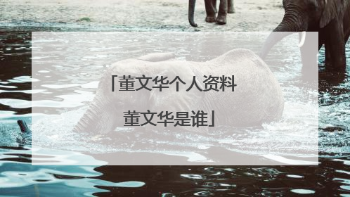 董文华个人资料 董文华是谁