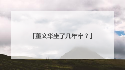 董文华坐了几年牢?