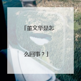 董文华是怎么回事?