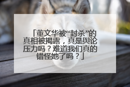 董文华被“封杀”的真相被揭露，真是舆论压力吗？难道我们真的错怪她了吗？