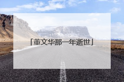 董文华那一年逝世