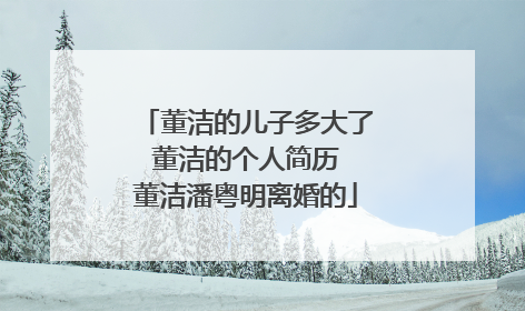 董洁的儿子多大了 董洁的个人简历 董洁潘粤明离婚的