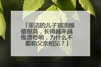 董洁的儿子顶顶颜值很高，长得越来越像潘粤明，为什么不能和父亲相见？