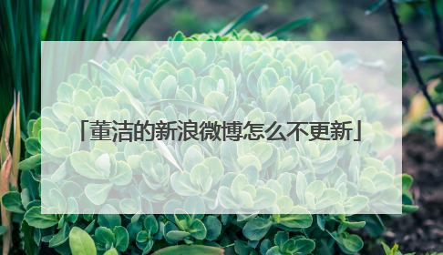 董洁的新浪微博怎么不更新
