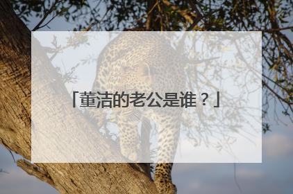 董洁的老公是谁?