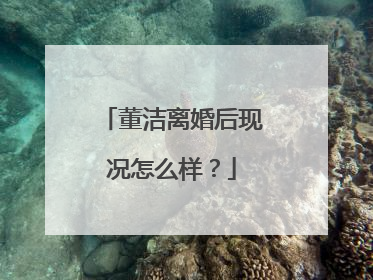 董洁离婚后现况怎么样？