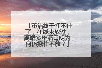 董洁终于扛不住了,在线求放过,离婚多年潘粤明为何仍揪住不放?