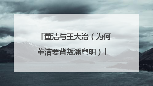 董洁与王大治(为何董洁要背叛潘粤明)