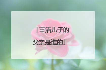 董洁儿子的父亲是谁的