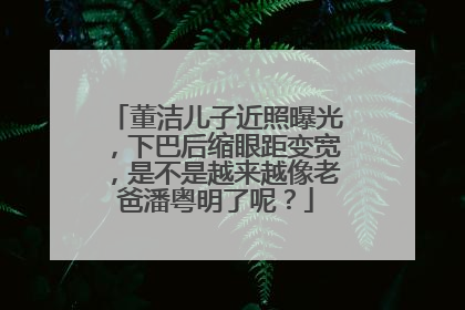 董洁儿子近照曝光，下巴后缩眼距变宽，是不是越来越像老爸潘粤明了呢？
