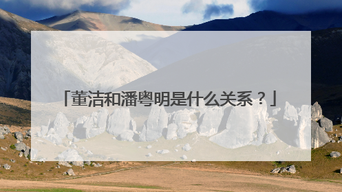 董洁和潘粤明是什么关系？