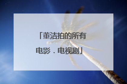 董洁拍的所有电影.电视剧