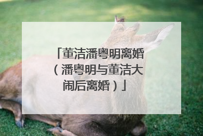 董洁潘粤明离婚（潘粤明与董洁大闹后离婚）