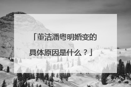 董洁潘粤明婚变的具体原因是什么?
