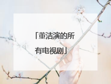 董洁演的所有电视剧