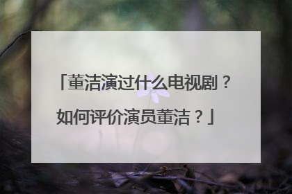 董洁演过什么电视剧？如何评价演员董洁？