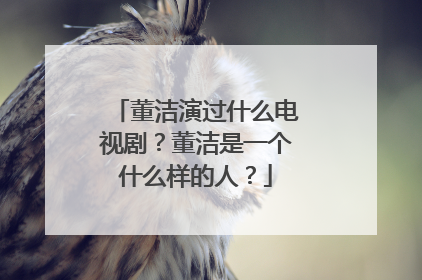 董洁演过什么电视剧？董洁是一个什么样的人？