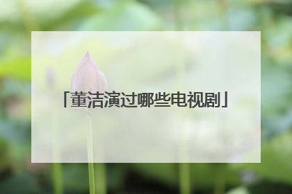 董洁演过哪些电视剧