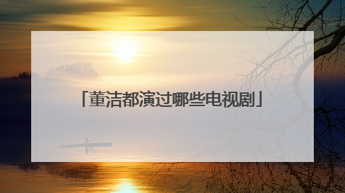 董洁都演过哪些电视剧