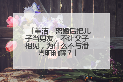 董洁:离婚后把儿子当男友,不让父子相见,为什么不与潘粤明和解?