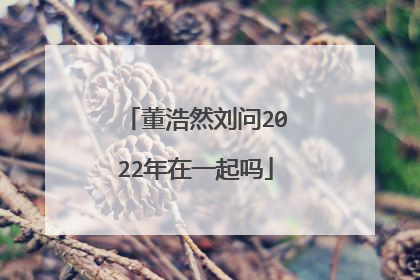 董浩然刘问2022年在一起吗